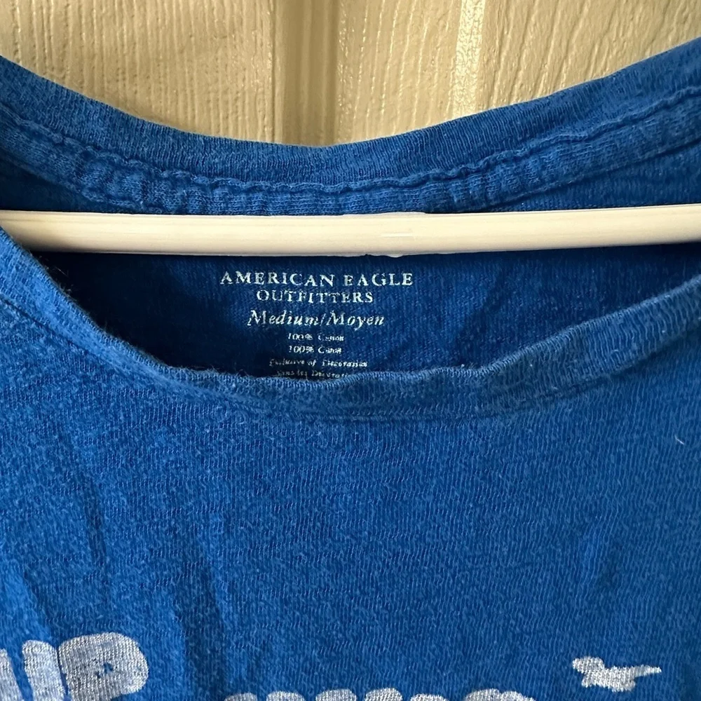 American Eagle Blue Graphic Tee